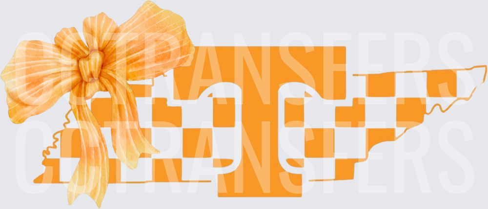 Orange Checkered State Outline Power T with Bow (DTF)
