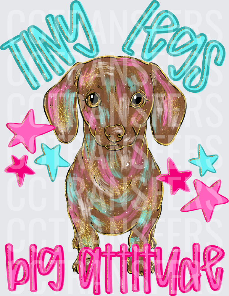 Tiny Legs Big Attitude Glitter Dachshund with Stars (DTF)