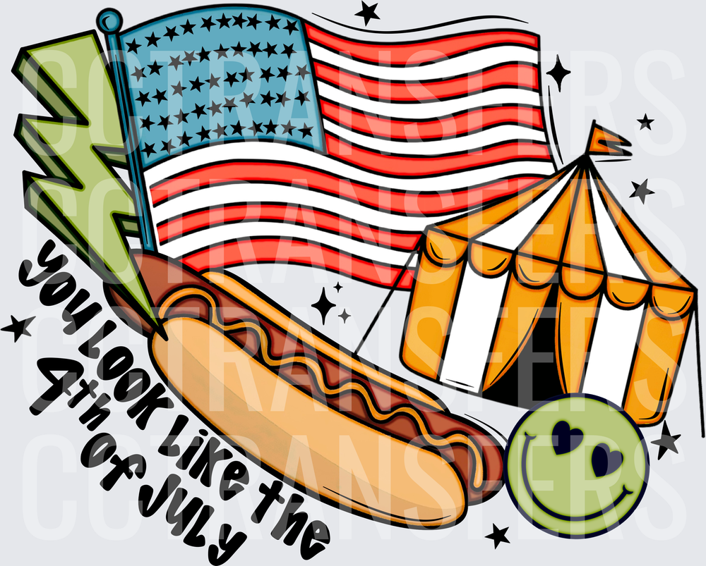 You Look Like the 4th of July Patriotic Festival (DTF)