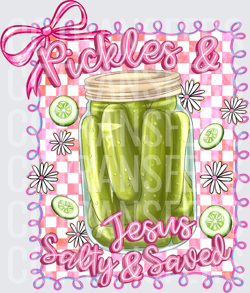 Pickles & Jesus Salty & Saved Mason Jar Pink Checkered (DTF)