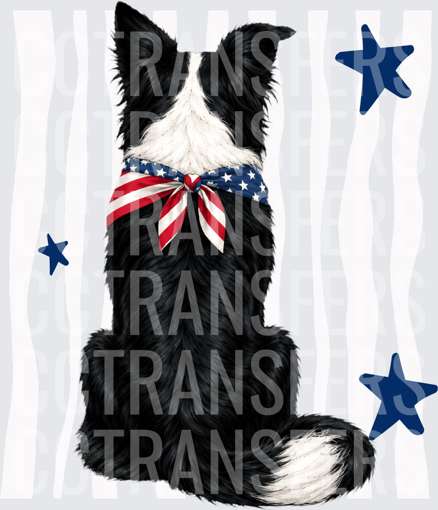 Patriotic Border Collie with American Flag Bandana (DTF)