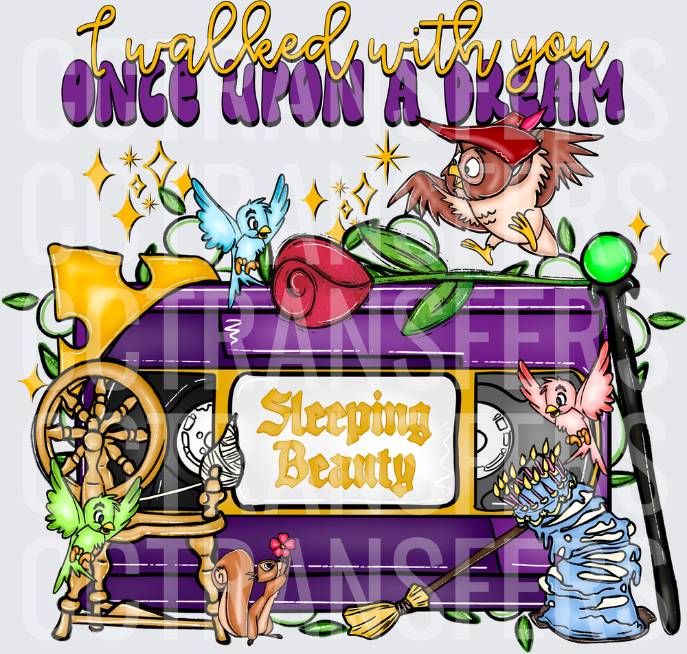 I Walked With You Once Upon A Dream VHS Fairy Tale (DTF)