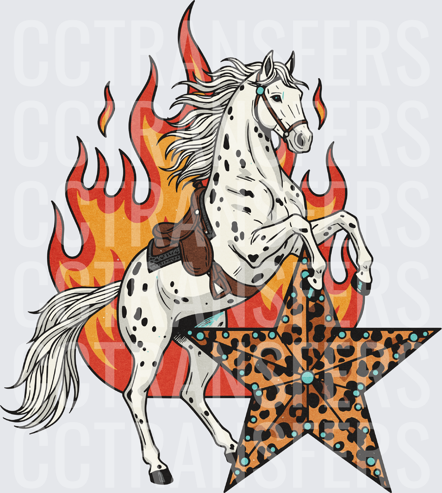 Rearing Appaloosa Horse Flames Leopard Print Star (DTF)