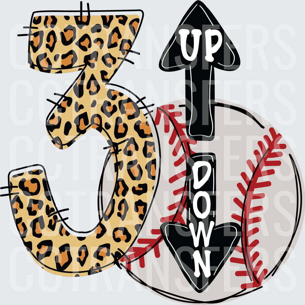 3 Up 3 Down Leopard Print Baseball (DTF)
