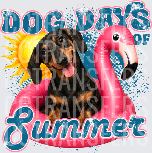 Dog Days of Summer Dachshund Flamingo Float (DTF)