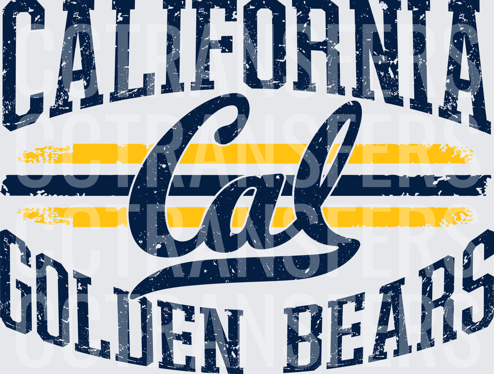 Vintage Distressed Golden Bears Script Stripe Collegiate (DTF)