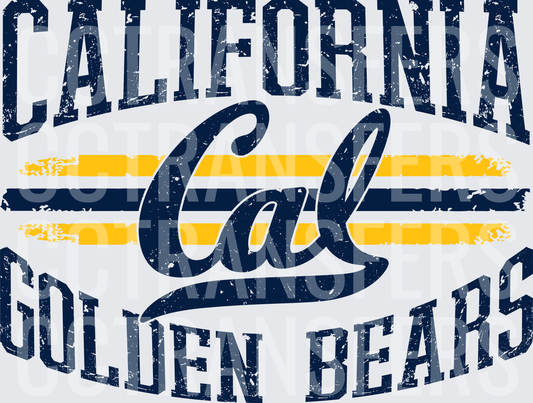Vintage Distressed Golden Bears Script Stripe Collegiate (DTF)