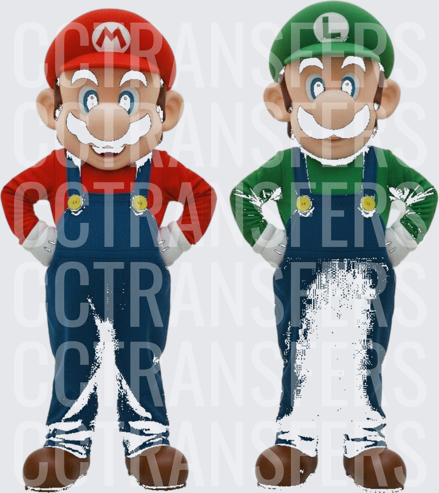 Red and Green Plumber Brothers Duo Pose (DTF)