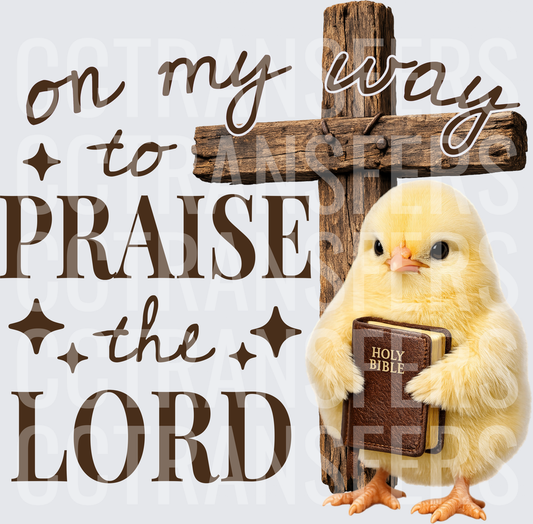 On My Way To Praise The Lord Baby Chick Cross Bible (DTF)