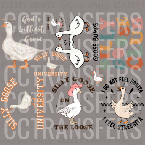 Silly Goose Bundle God's Silliest I Feel Stressita (DTF)