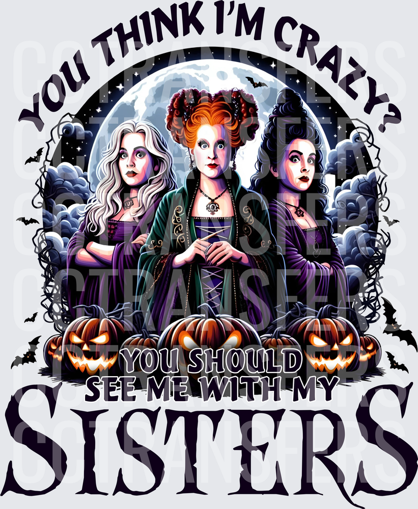 You Think I'm Crazy You Should See Me With My Sisters (DTF)
