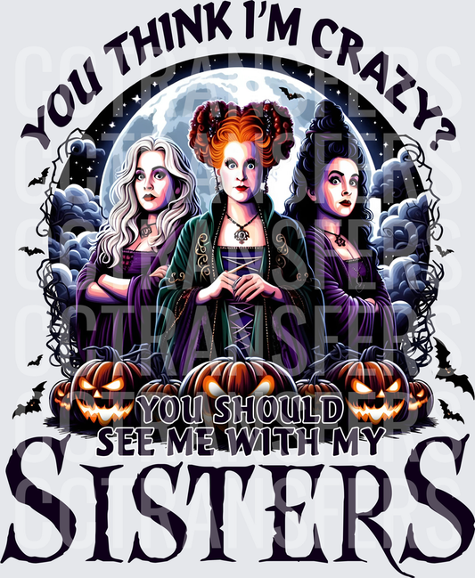 You Think I'm Crazy You Should See Me With My Sisters (DTF)