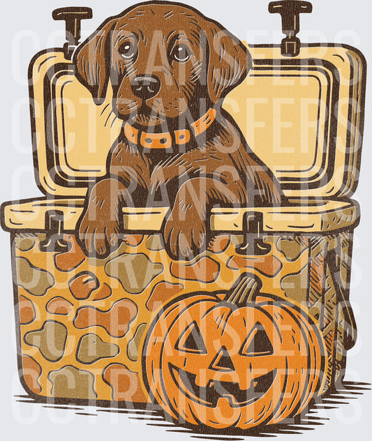 Chocolate Lab Puppy in Camo Cooler with Jack-o-Lantern (DTF)