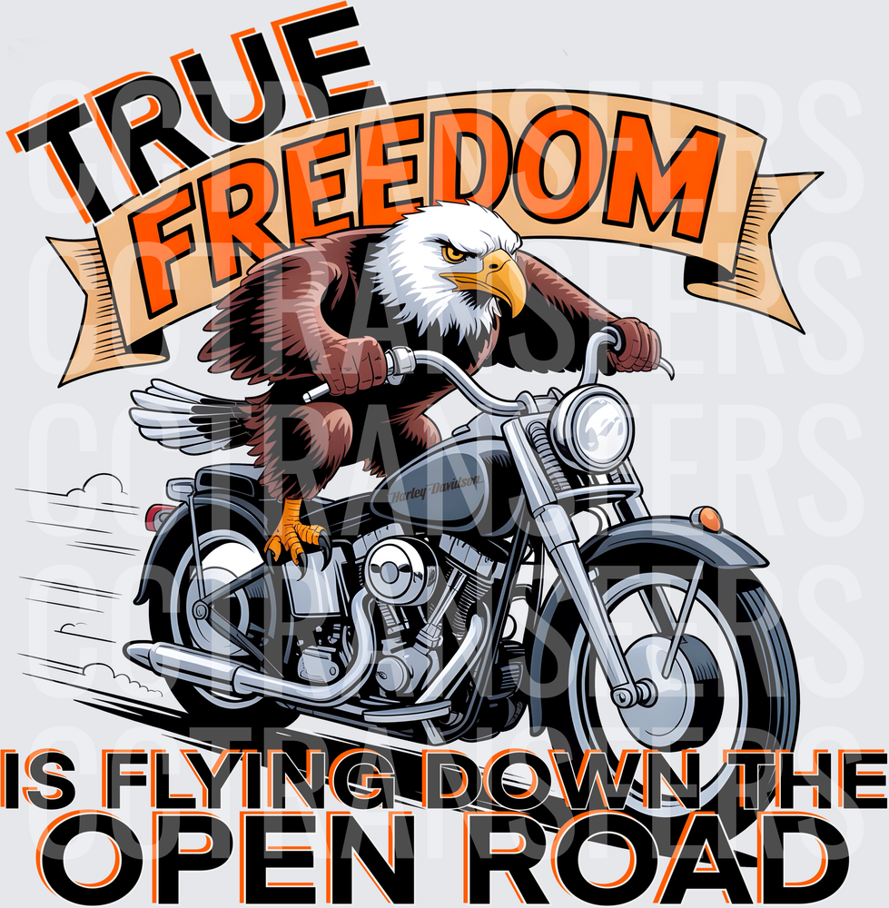 True Freedom Is Flying Down The Open Road Bald Eagle Biker (DTF)