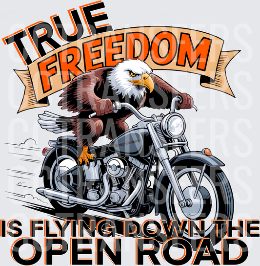 True Freedom Is Flying Down The Open Road Bald Eagle Biker (DTF)