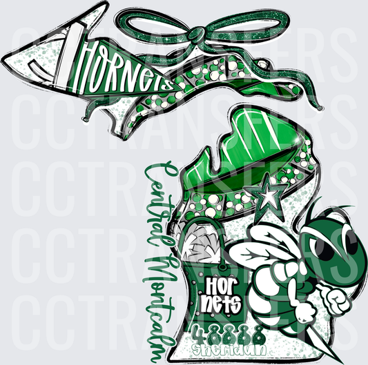 Central Montcalm Hornets Michigan State Shape 48888 Sheridan (DTF)