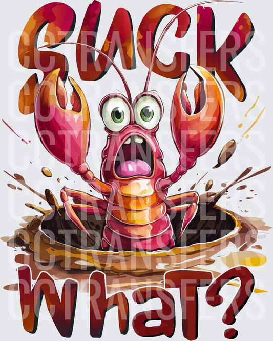 Suck What Shocked Crawfish Mudhole Funny Cajun (DTF)