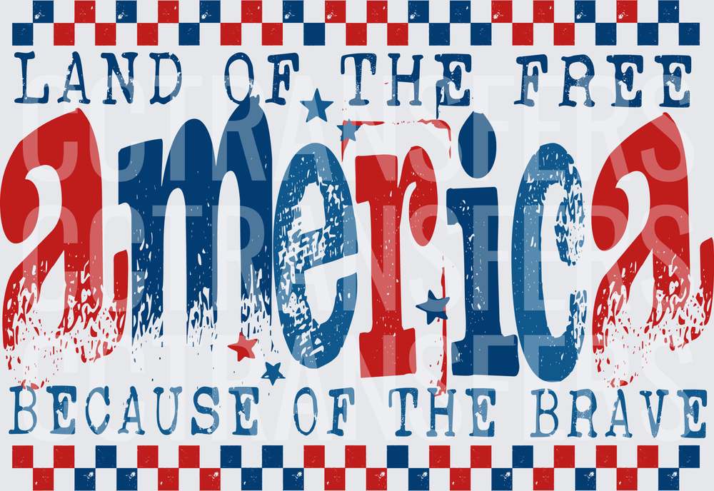Land of the Free America Because of the Brave (DTF)