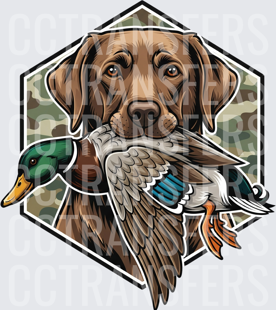 Chocolate Lab Retrieving Mallard Duck Camo Hexagon (DTF)