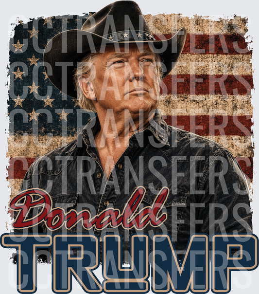 Donald Trump Cowboy Hat American Flag Portrait (DTF)