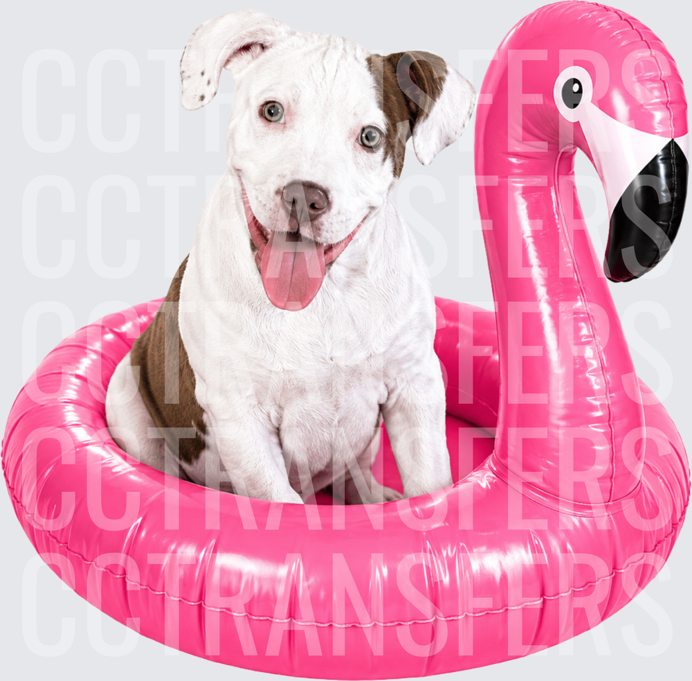 Happy Puppy Sitting in Pink Inflatable Flamingo Float (DTF)