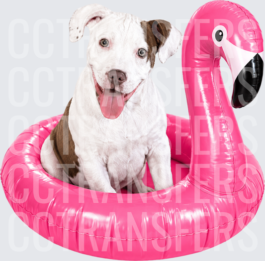Happy Puppy Sitting in Pink Inflatable Flamingo Float (DTF)
