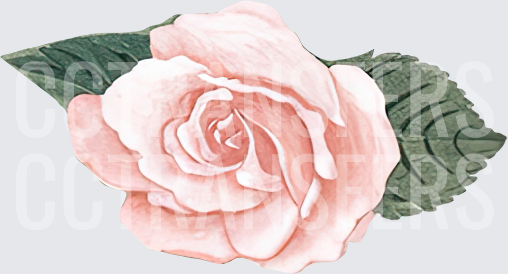 Soft Pink Rose Bloom with Dark Green Leaves (DTF)