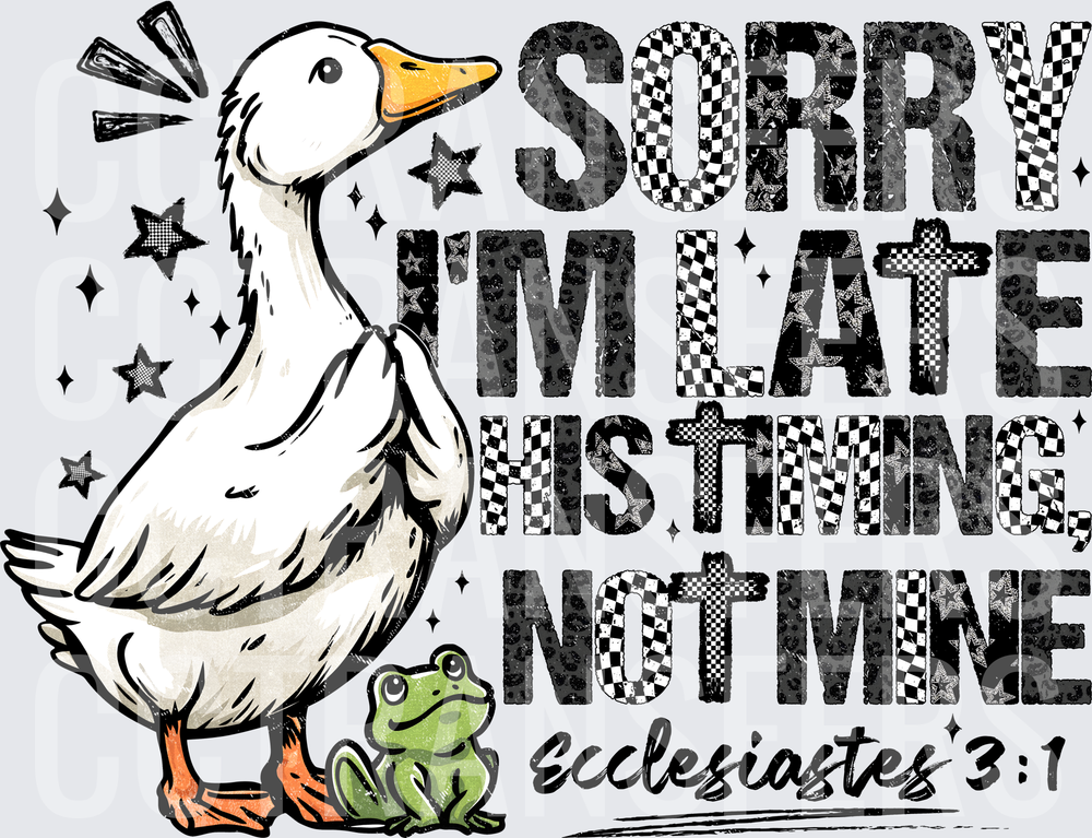 Sorry I'm Late His Timing Not Mine Goose Frog Ecclesiastes 3:1 (DTF)