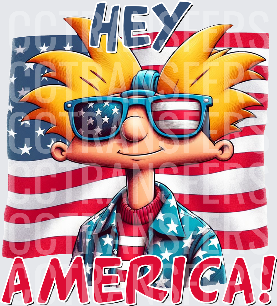 Hey America Cartoon Boy American Flag Sunglasses (DTF)