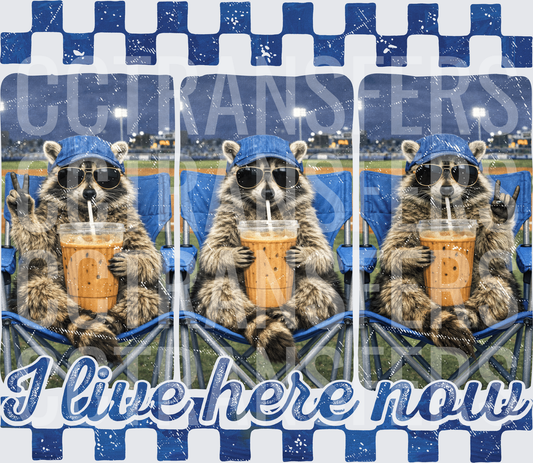Raccoon Baseball Fan Iced Coffee I Live Here Now (DTF)