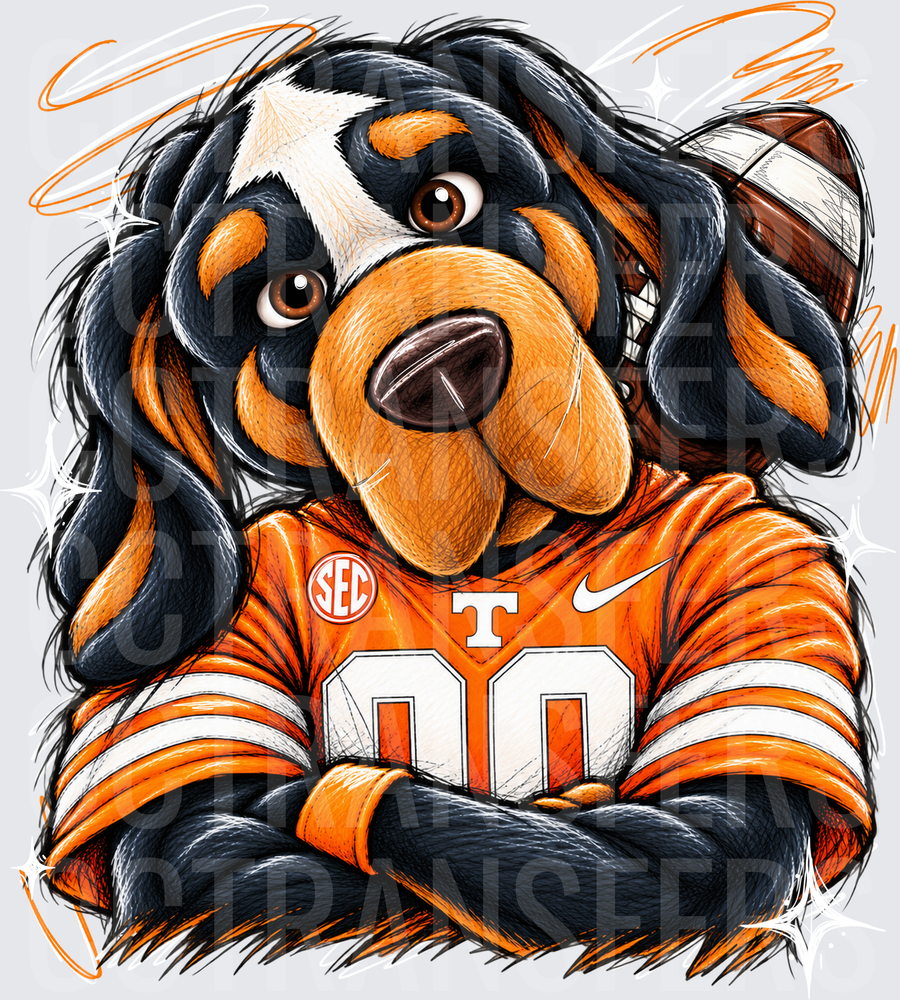 Tough Dog #00 Orange SEC Football Jersey Arms Crossed (DTF)