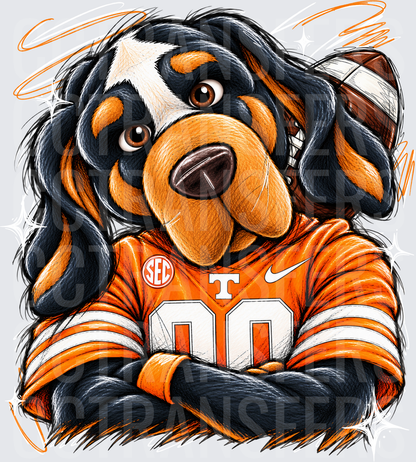 Tough Dog #00 Orange SEC Football Jersey Arms Crossed (DTF)