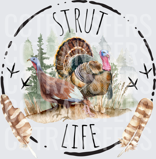 Strut Life Wild Turkey Pair Watercolor Feathers (DTF)