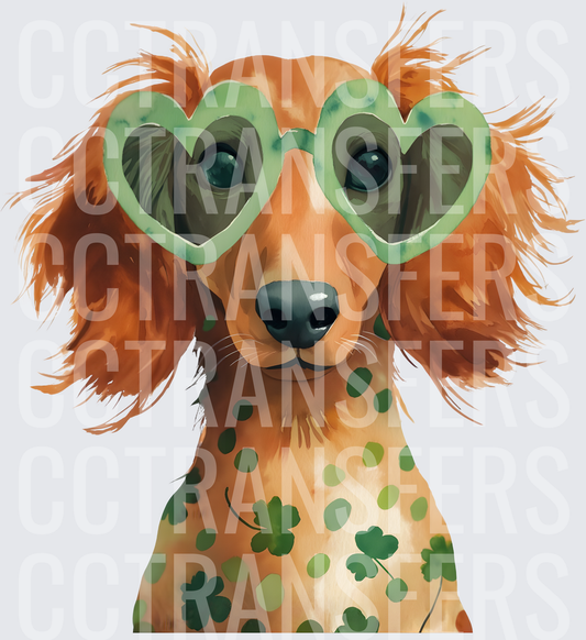 St. Patrick's Day Dachshund with Heart Shamrock Glasses (DTF)