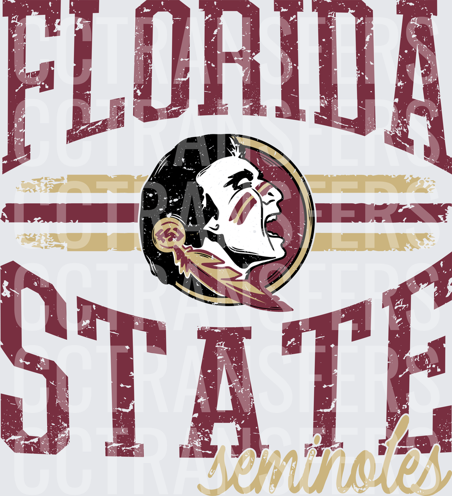 Distressed Seminoles Mascot Arched Varsity Grunge Logo (DTF)