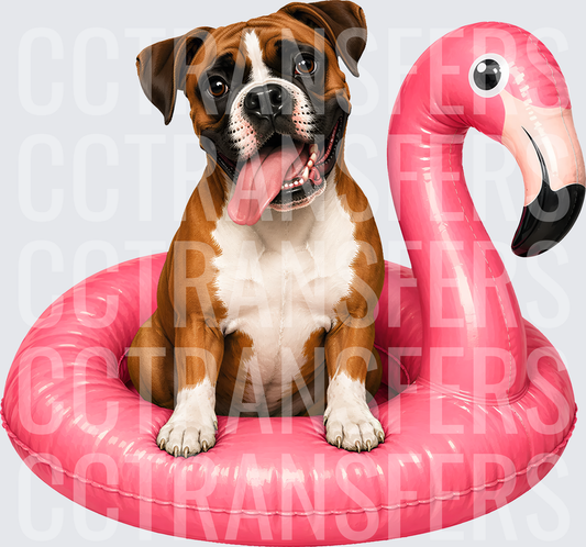 Happy Boxer Dog Sitting in Pink Flamingo Pool Float (DTF)