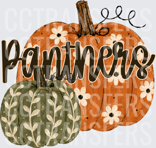 Panthers Fall Floral Pumpkin Duo (DTF)