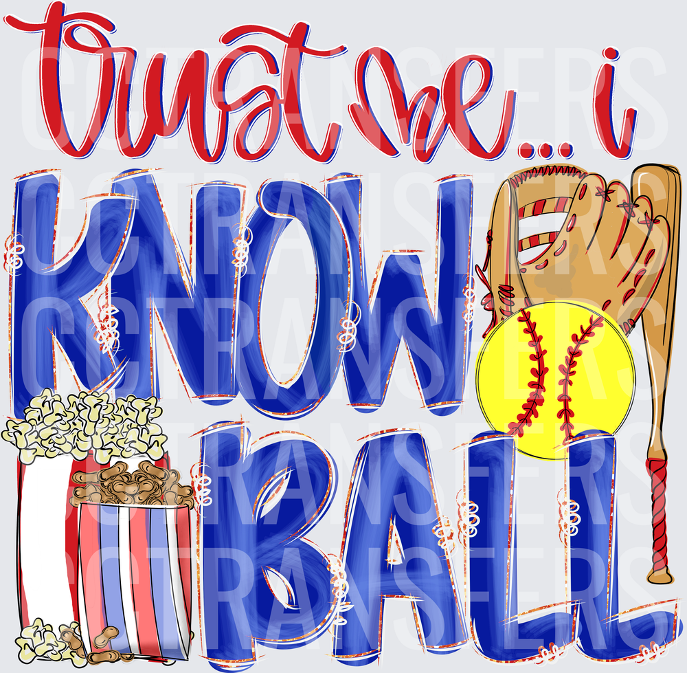 Trust Me I Know Ball Softball Glove Bat Popcorn (DTF)
