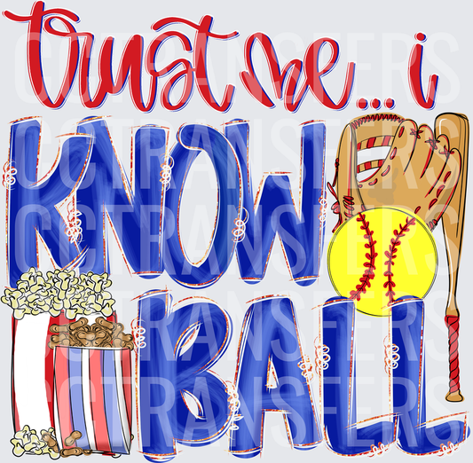 Trust Me I Know Ball Softball Glove Bat Popcorn (DTF)