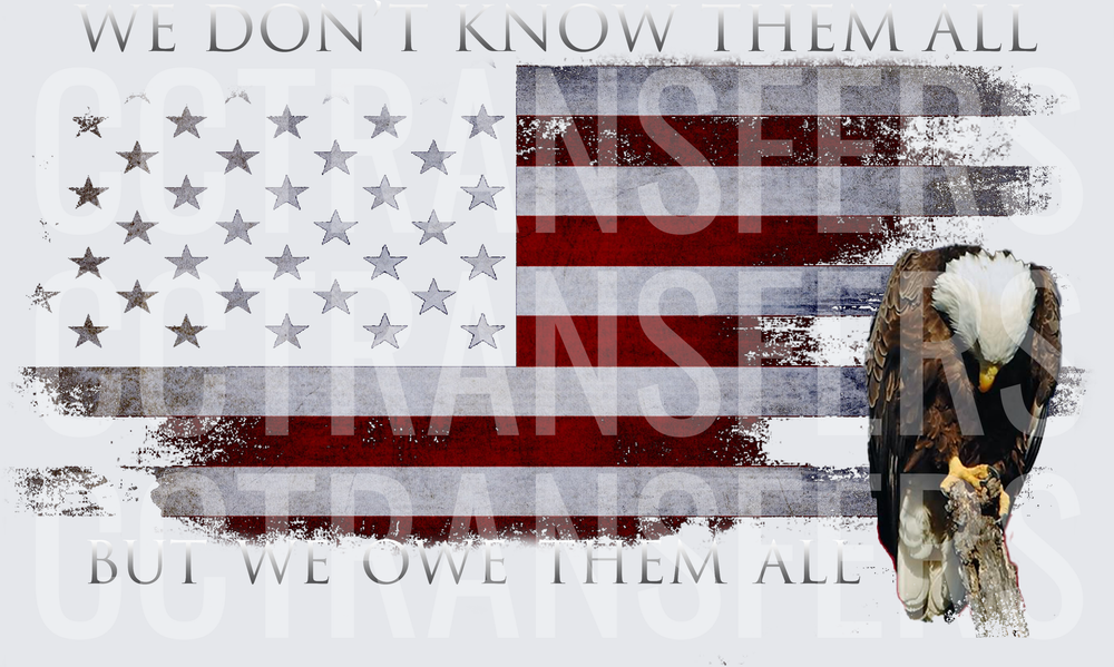 We Don't Know Them All But We Owe Them All Distressed Flag Eagle (DTF)