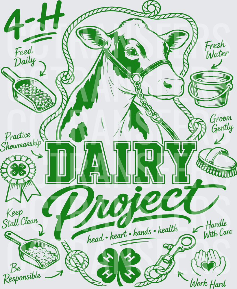 4-H Dairy Project Head Heart Hands Health Cow (DTF)