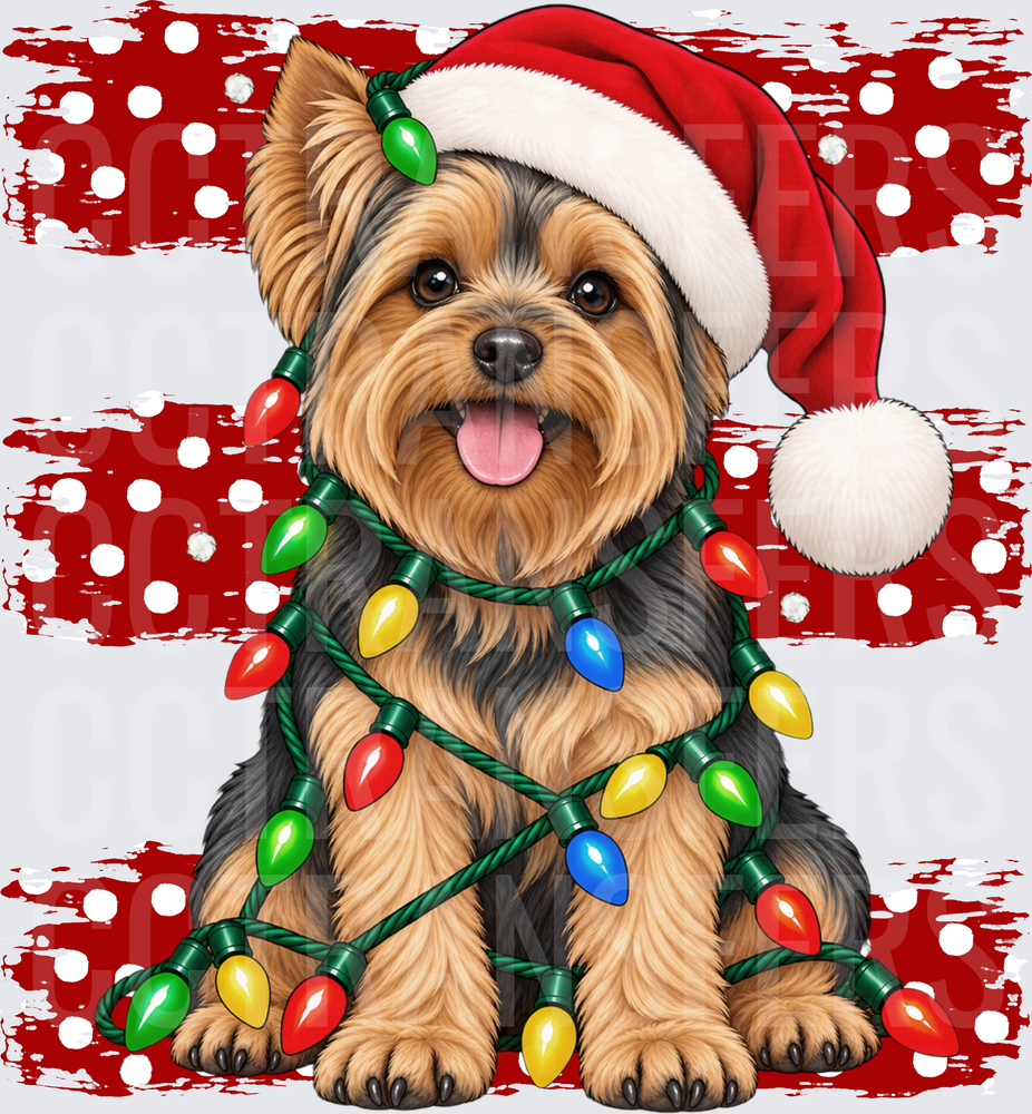 Yorkie Santa Hat Christmas Lights Polka Dot (DTF)
