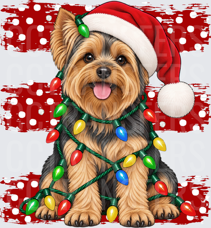 Yorkie Santa Hat Christmas Lights Polka Dot (DTF)