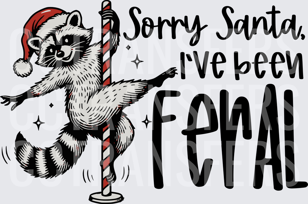 Sorry Santa I've Been Feral Christmas Raccoon (DTF)