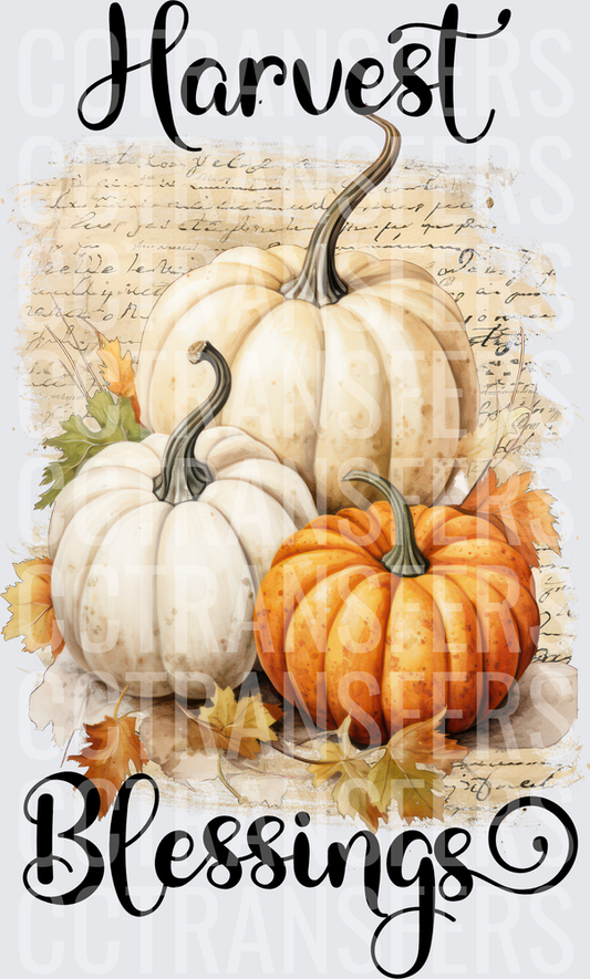 Harvest Blessings White Orange Pumpkins Fall Leaves (DTF)
