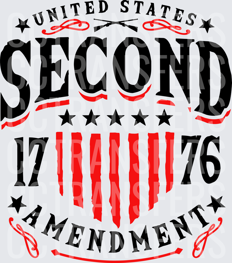 United States Second Amendment 1776 Stars and Stripes (DTF)