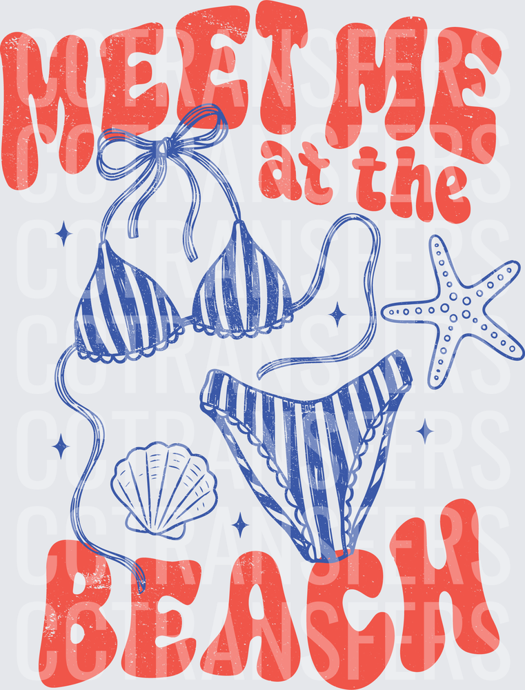 Meet Me At The Beach Striped Bikini Starfish Shell (DTF)