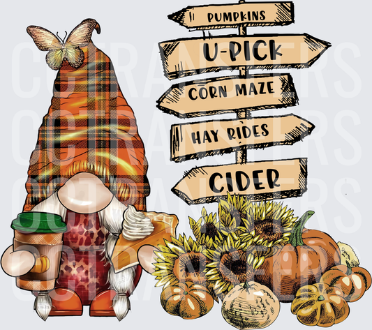 Fall Gnome Pumpkin Patch Directional Sign Sunflowers (DTF)