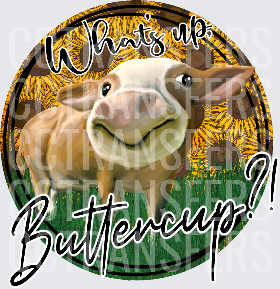 What's Up Buttercup Smiling Cow Sunflower Circle (DTF)