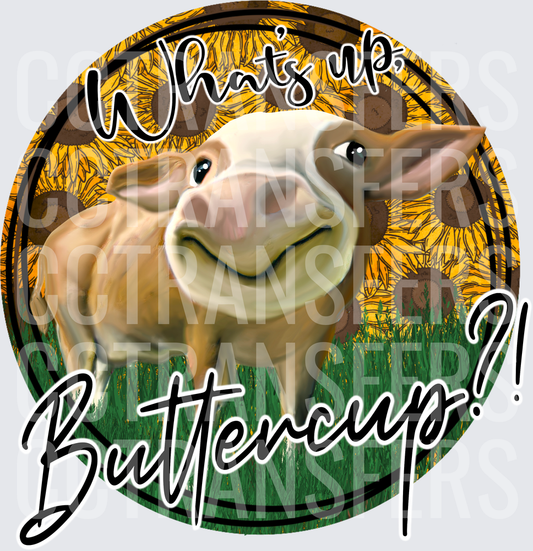 What's Up Buttercup Smiling Cow Sunflower Circle (DTF)